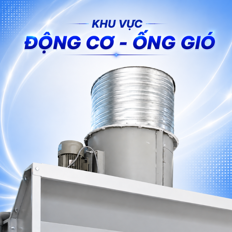 BUỒNG SƠN MÀNG NƯỚC 5,3M - Ảnh 4
